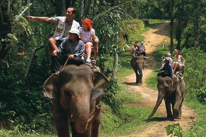 Самуи, Elephant Trekking Самуи, Elephant Trekking