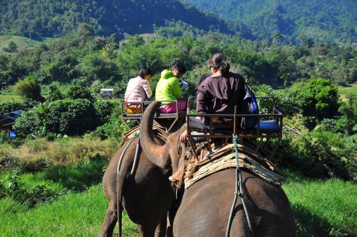Погода на Самуи в октябре - Elephant Trekking Погода на Самуи в октябре - Elephant Trekking