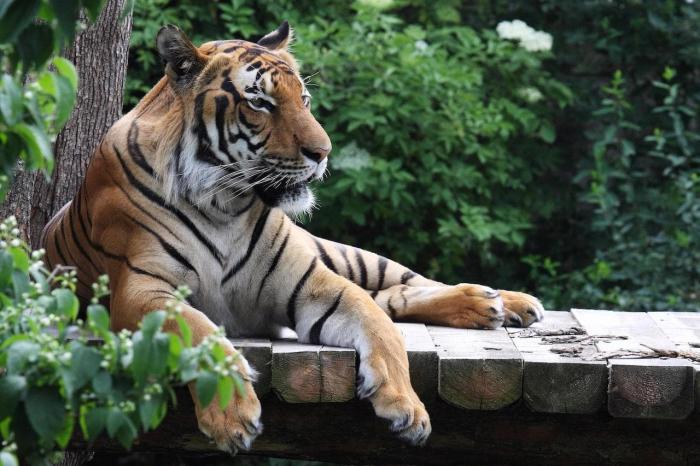 Погода на Фукуоке в сентябре - Vinpearl Safari Phú Quốc