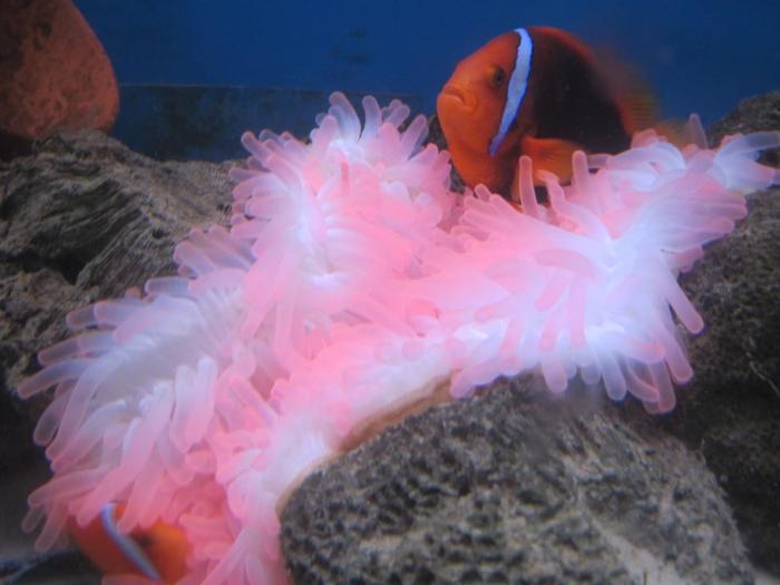 Какая температура во вьетнаме в сентябре thumbnail