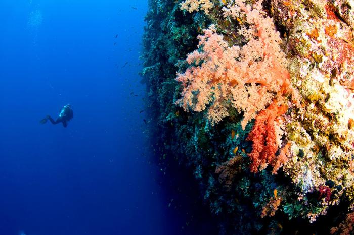 Дахаб, Красное море Дахаба