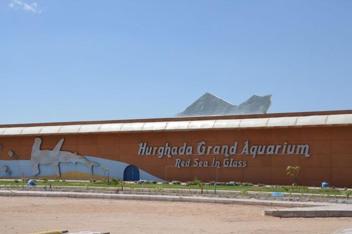 Хургада, океанариум Red Sea