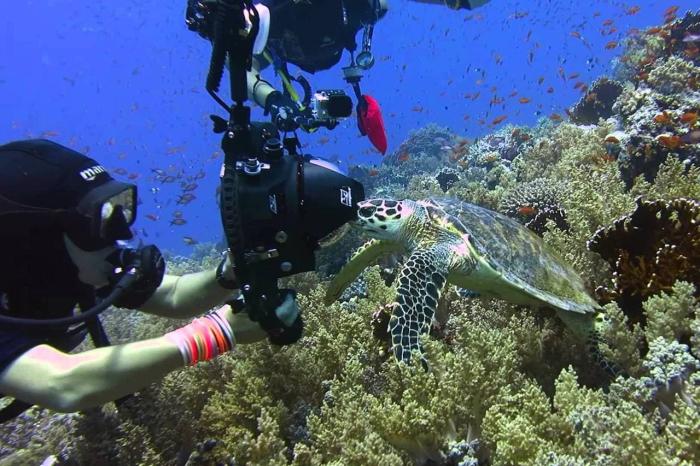 Какая температура в марте египет Какая температура в марте египет thumbnail