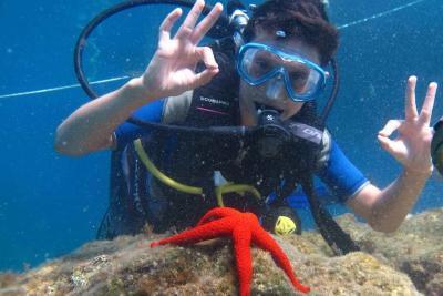 Чем заняться в Кемере в октябре, Дайвинг
