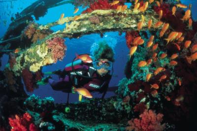 Шарм-эль-Шейх, Дайвинг