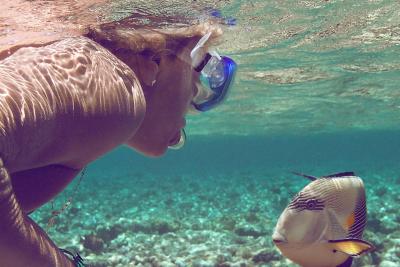 Таба, Снорклинг