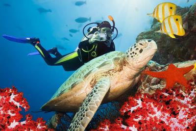 Погода в Шарм-эль-Шейхе в октябре - Морской мир Шарм-эль-Шейха